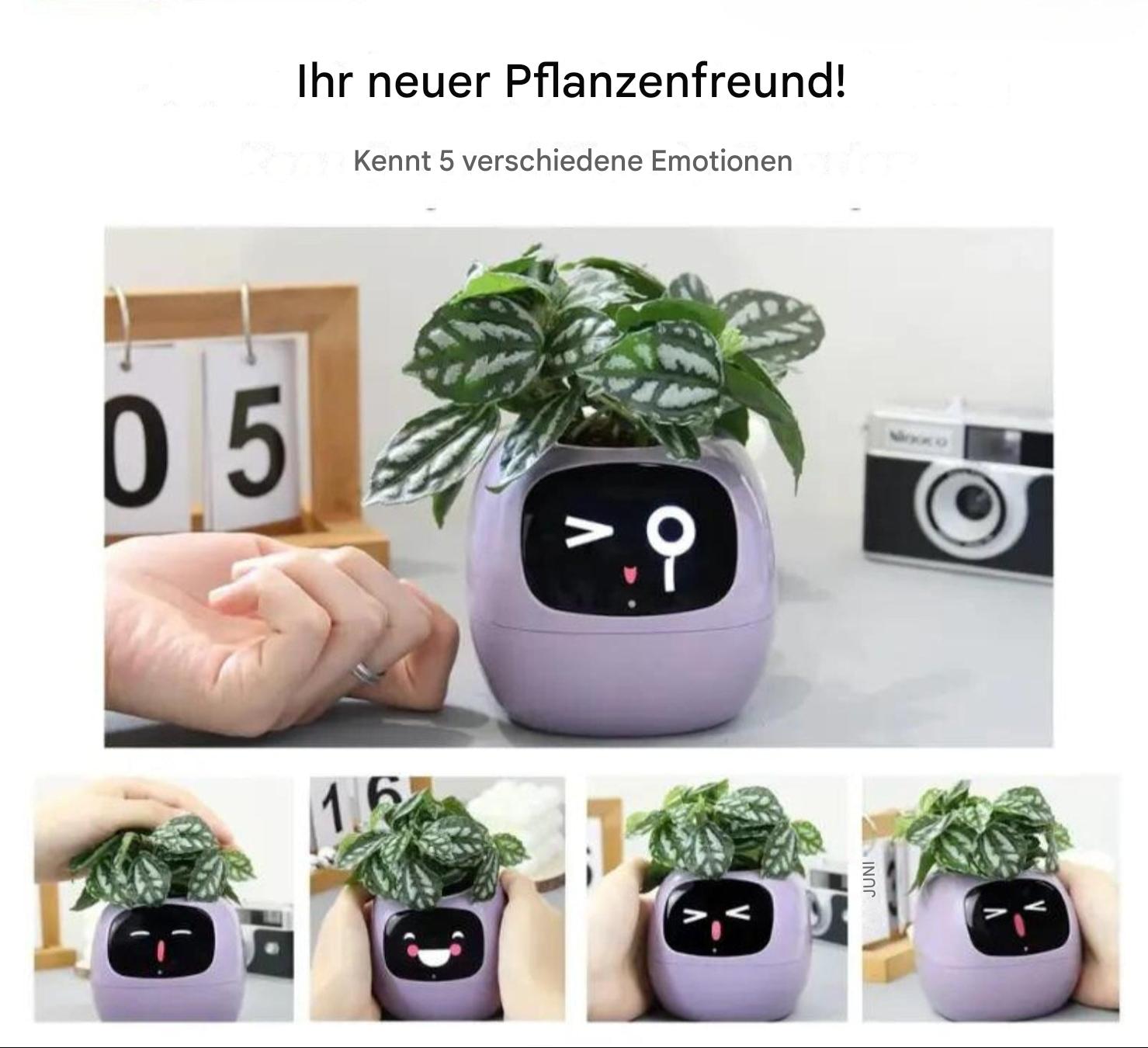 Smart Self-Watering Flower Pot - EcoBloom Pottery