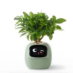 Smart Self-Watering Flower Pot - EcoBloom Pottery