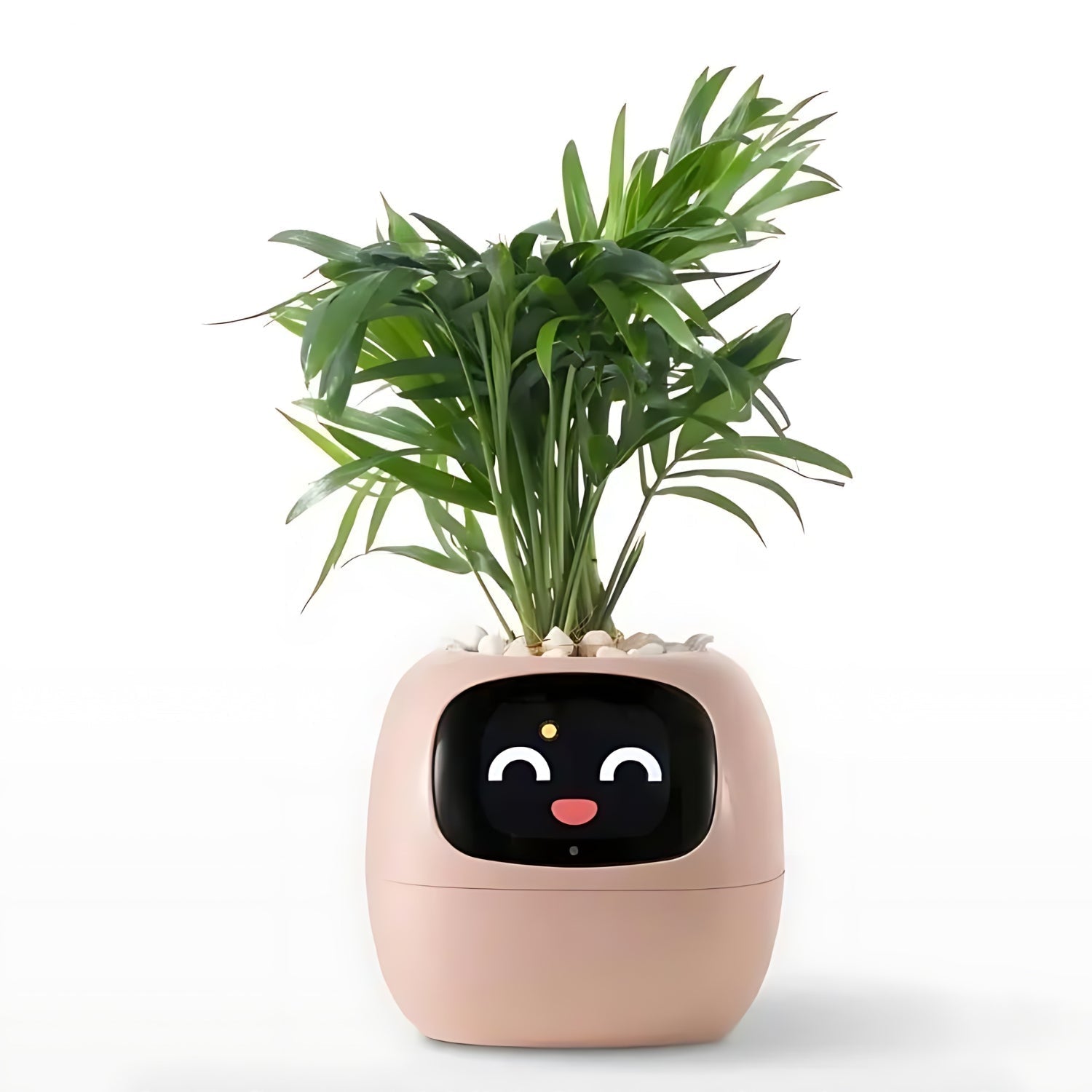 Smart Self-Watering Flower Pot - EcoBloom Pottery