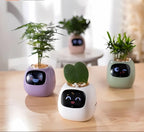 Smart Self-Watering Flower Pot - EcoBloom Pottery