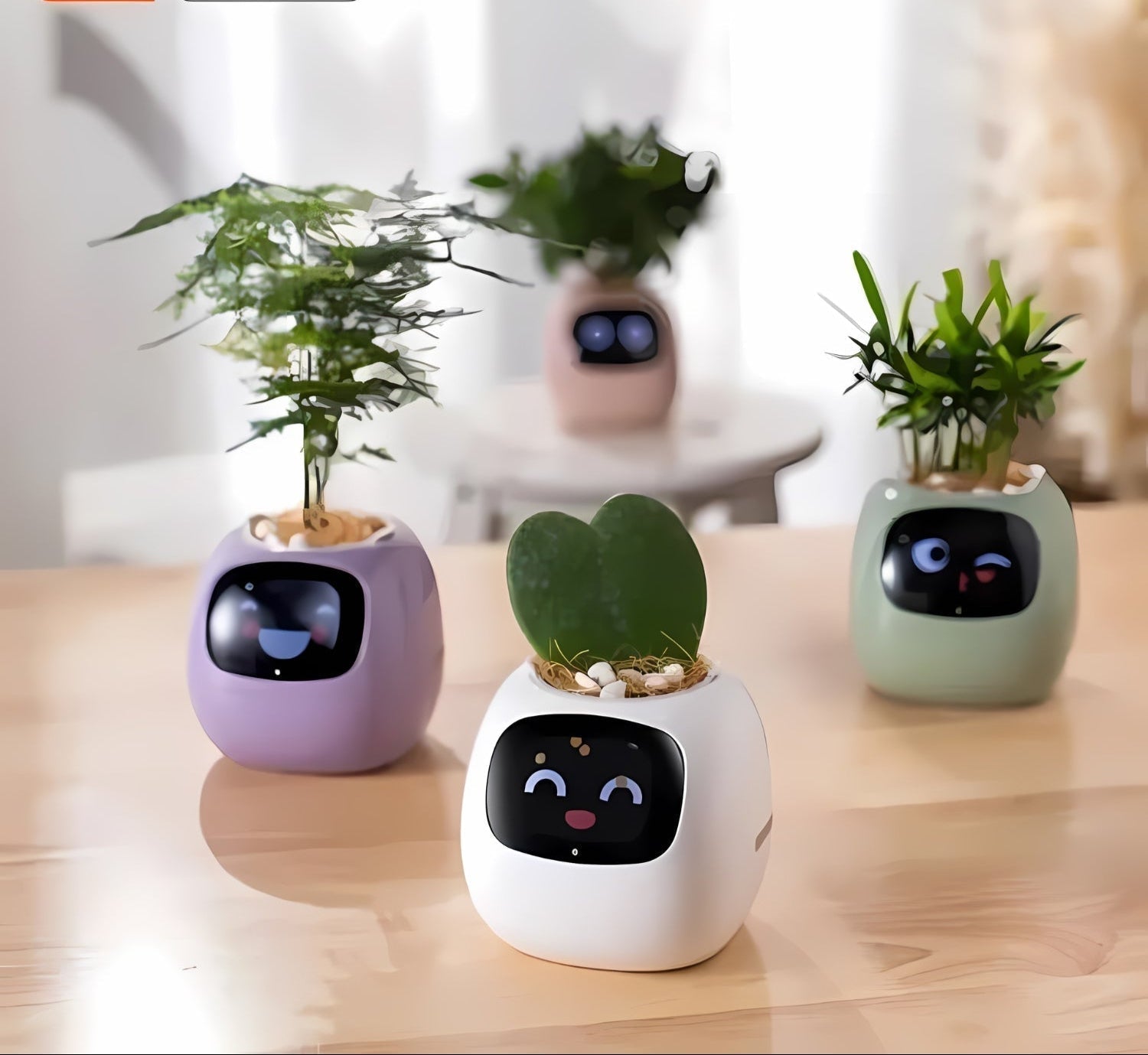 Smart Self-Watering Flower Pot - EcoBloom Pottery