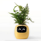 Smart Self-Watering Flower Pot - EcoBloom Pottery
