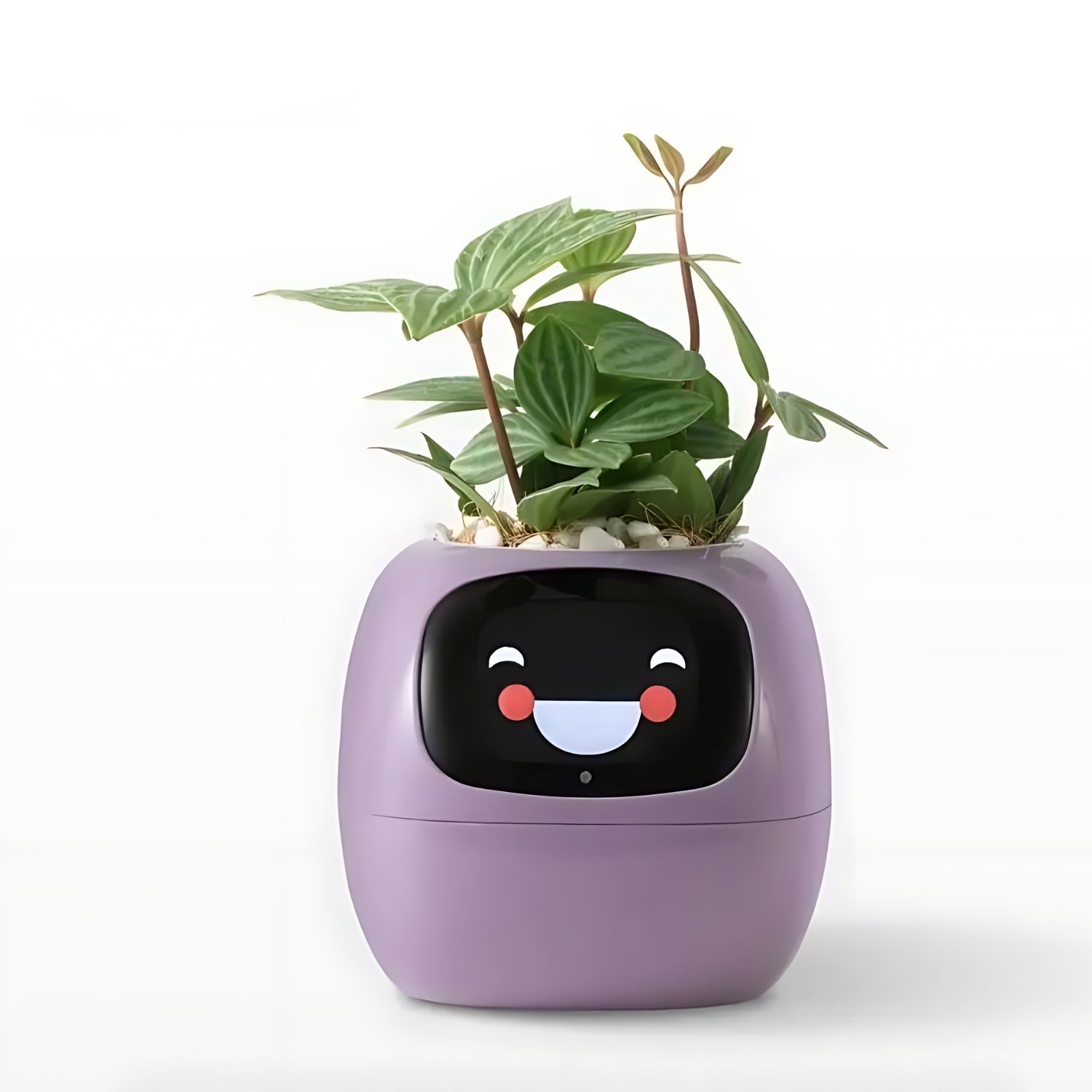 Smart Self-Watering Flower Pot - EcoBloom Pottery