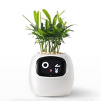 Smart Self-Watering Flower Pot - EcoBloom Pottery