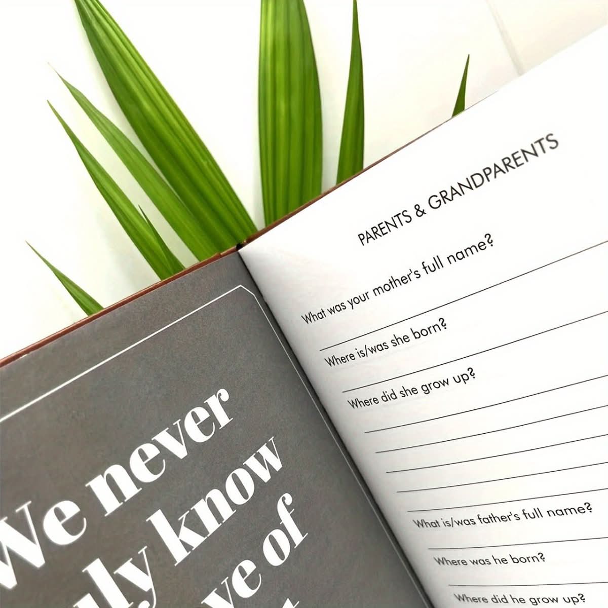 Storybook Journal - EverNest