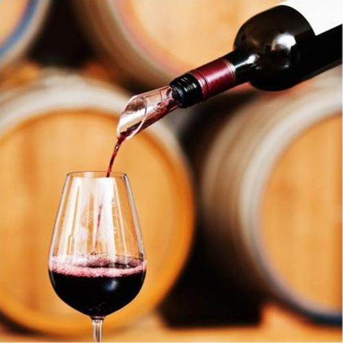 Chilled Wine Stainless Steel Pourer - VinoLux