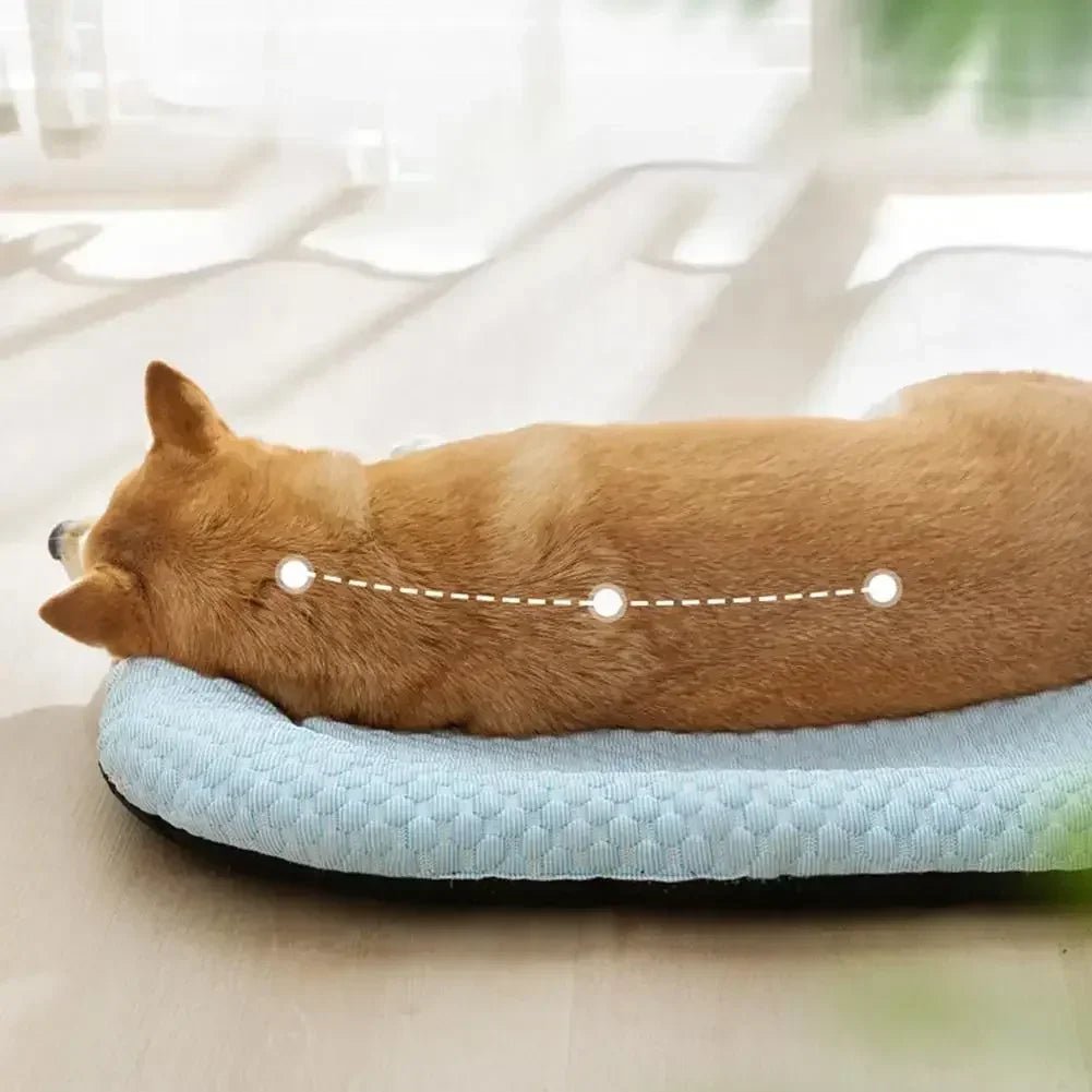 Cooling Dog Bed - ChillPaws Premium Comfort for All Breeds