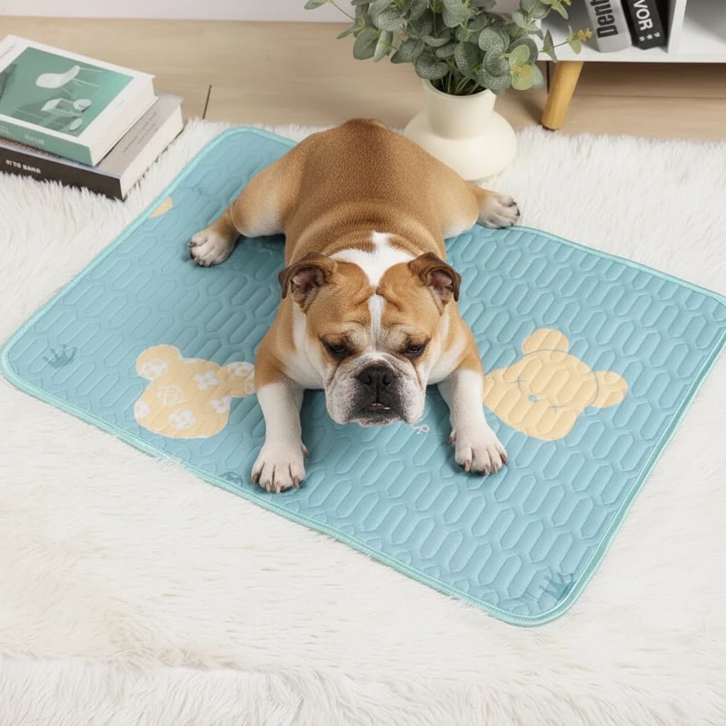Cooling Mat for Pets - ChillPaw Essentials