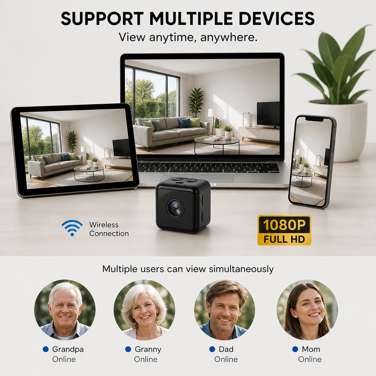 Mini Wireless Hidden Camera - SecureView