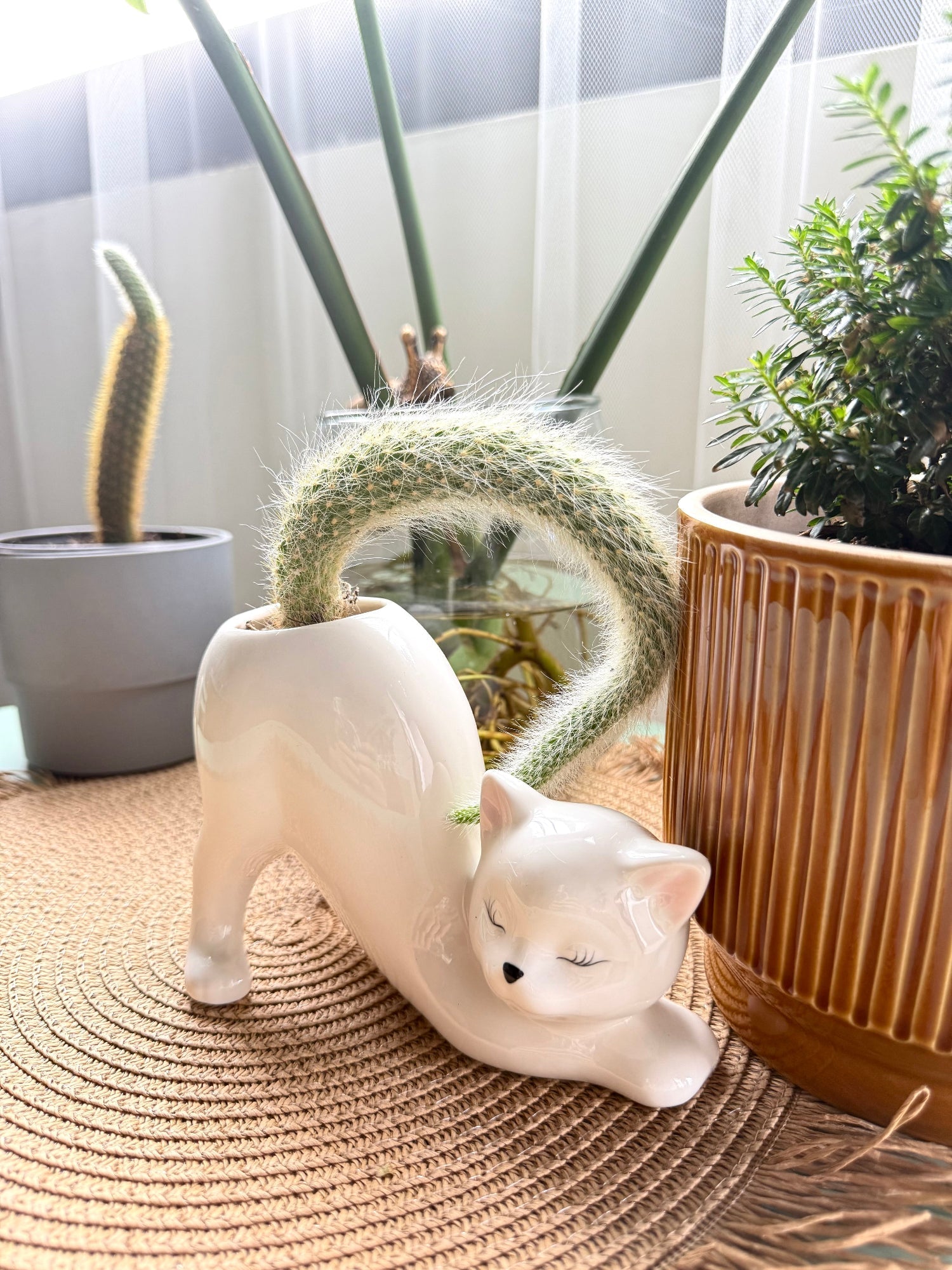 Ceramic Cat Planter - PurrfectNest™ with Drainage Hole