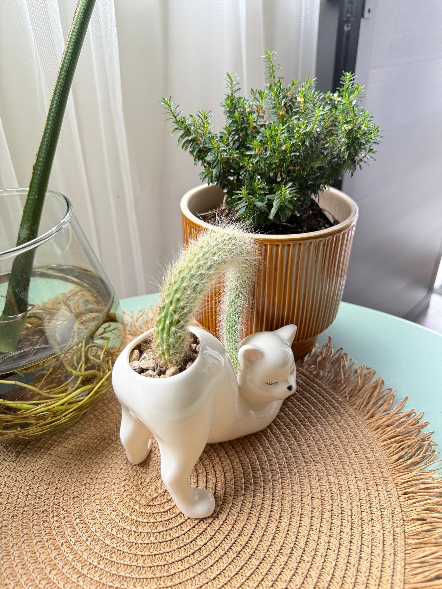 Ceramic Cat Planter - PurrfectNest™ with Drainage Hole