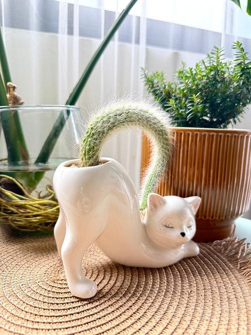 Ceramic Cat Planter - PurrfectNest™ with Drainage Hole