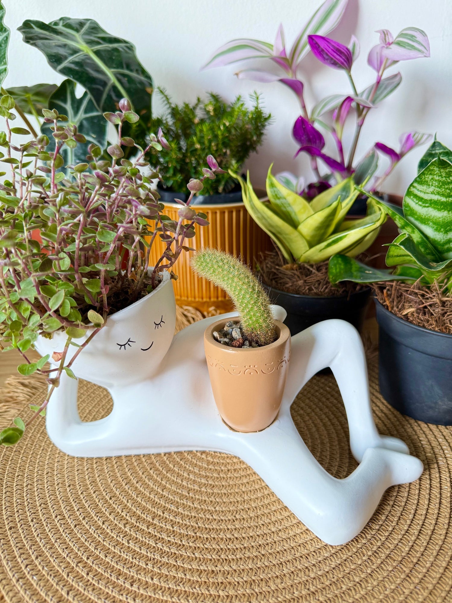 Chill-Out Planter - GreenNest™ Relaxation Solutions
