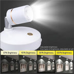 LumiSpot LED Spotlight - IllumiTech with Remote Control