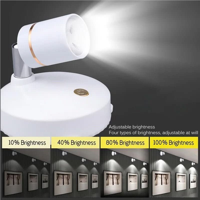 LumiSpot LED Spotlight - IllumiTech with Remote Control