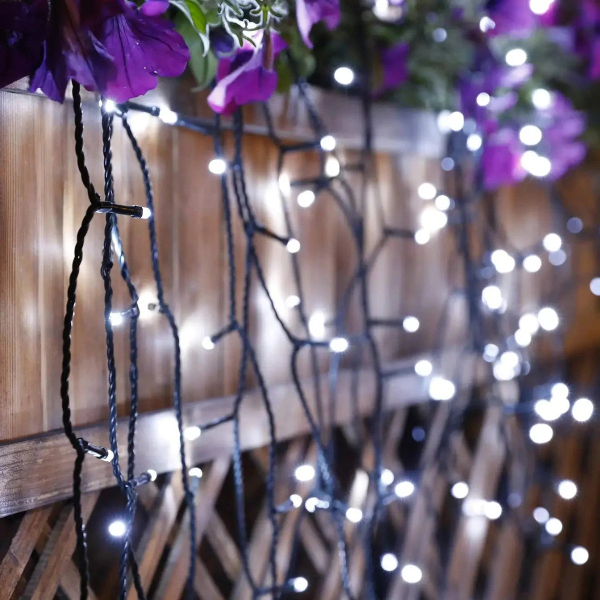 Solar String Lights with 300 LEDs - Luminara Luxe