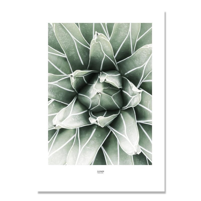 Cactus Wall Art - Verdant Visions