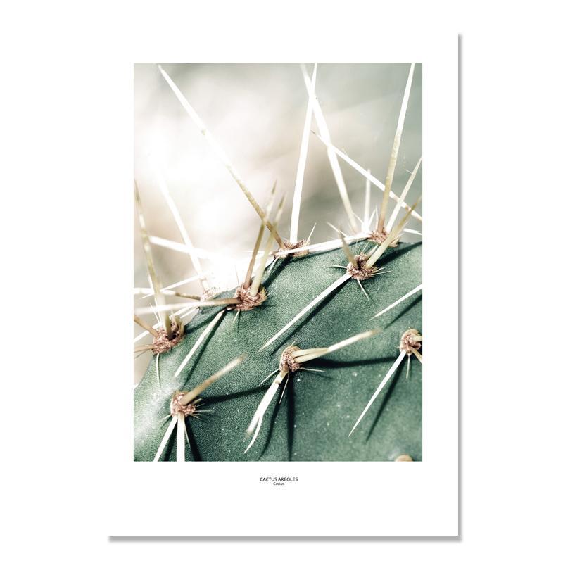 Cactus Wall Art - Verdant Visions