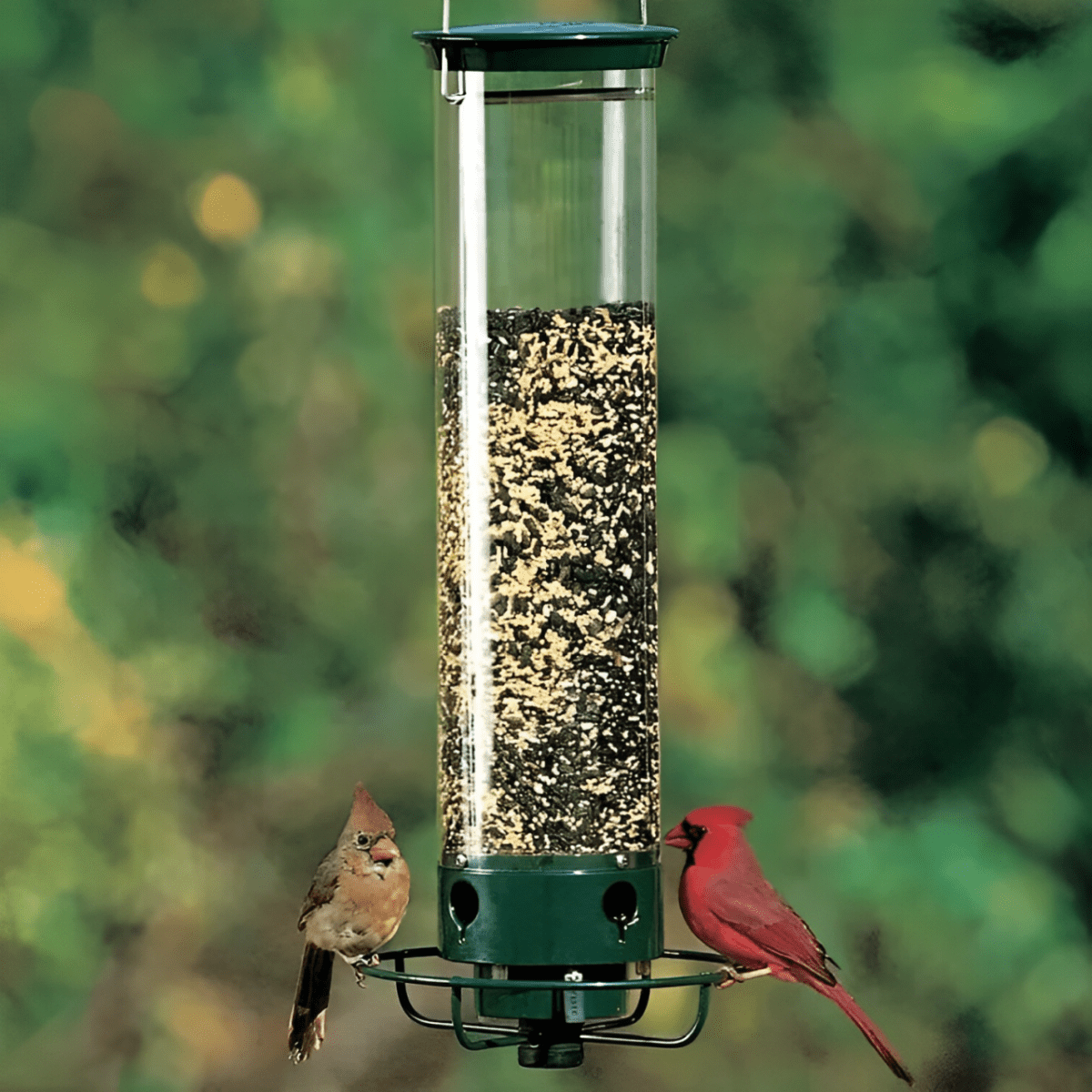 Squirrel-Proof Birdhouse - EcoNest