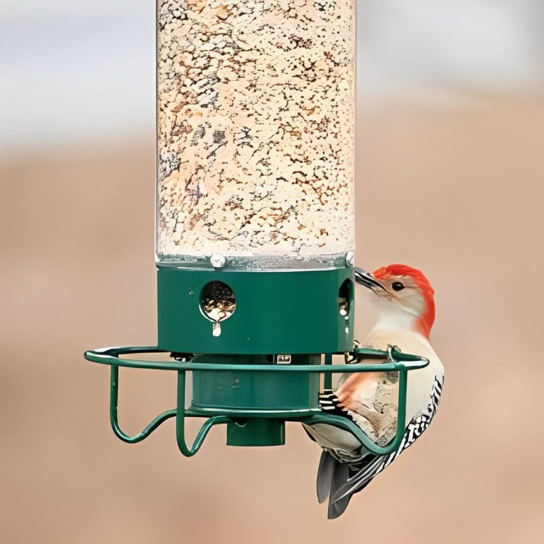 Squirrel-Proof Birdhouse - EcoNest
