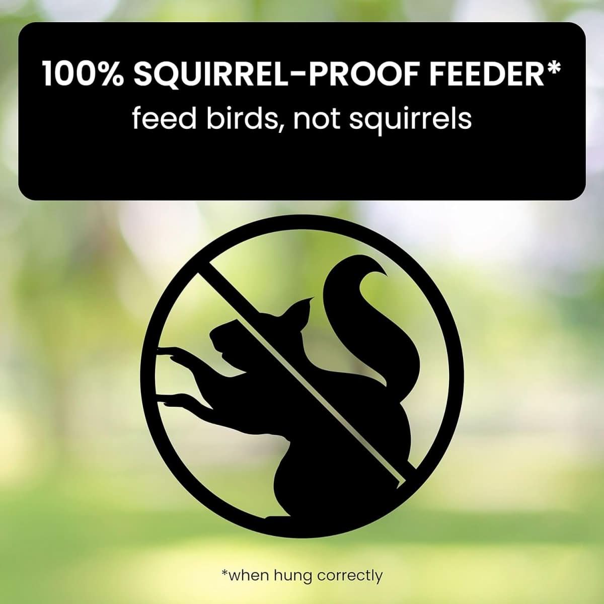 Squirrel-Proof Birdhouse - EcoNest