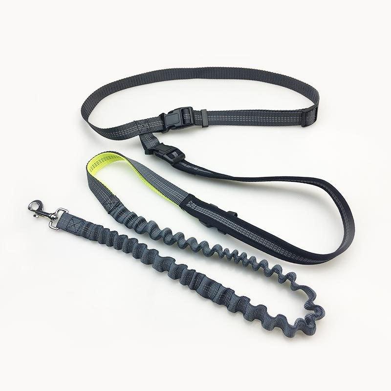 Handsfree Bungee Dog Leash - Pawsitive Gear