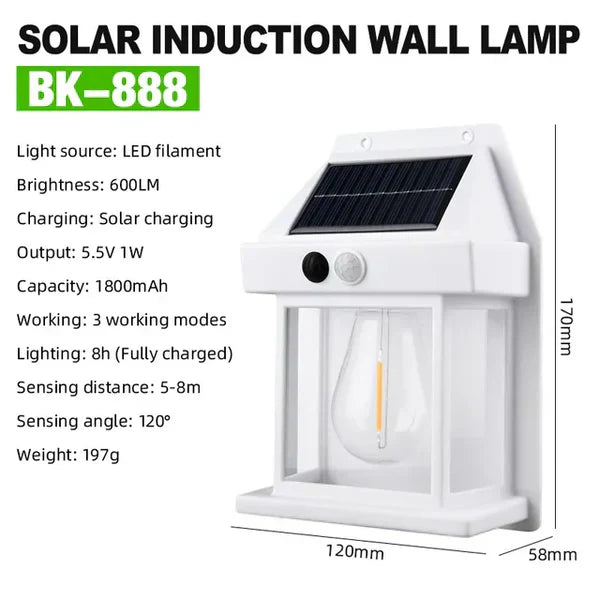 Solar Wall Light - Luminara Eco