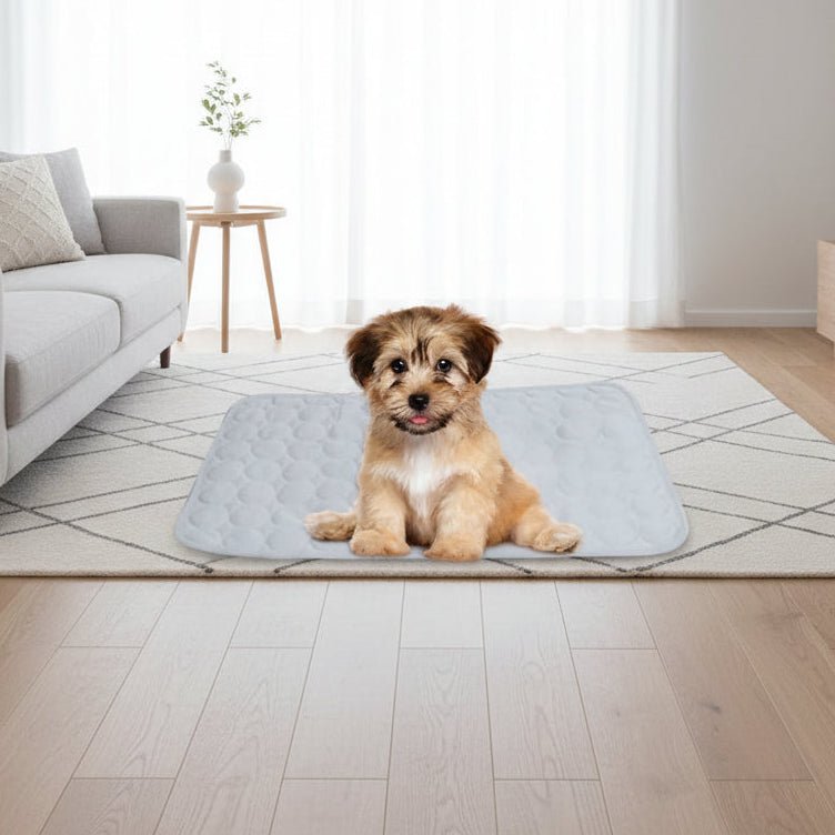 Cooling Mat for Dogs and Cats - ChillPaws