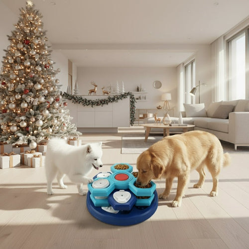 Cognition Food Puzzle Bowl - Pawsitive Mindset