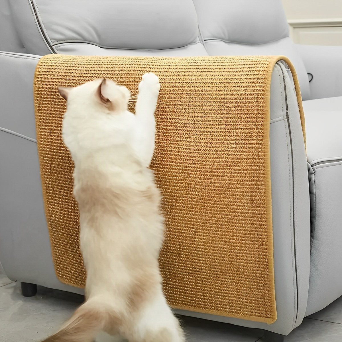 Cat Scratching Board - Purrfectly Crafted Essentials