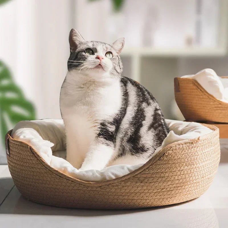 Bamboo Cat Bed - Purrfect Haven for Small & Medium Cats
