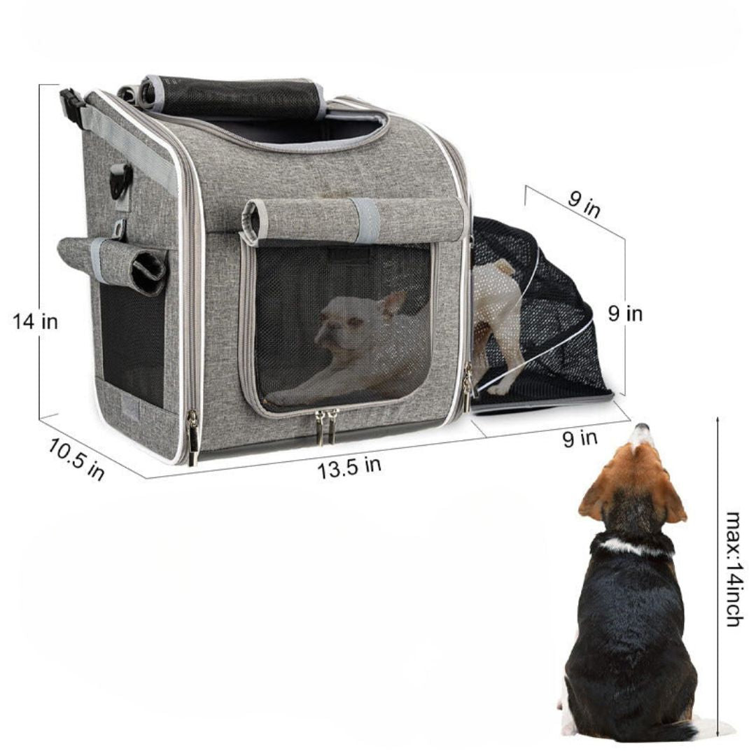 Dog Transport Carrier - Pawsitive Adventures