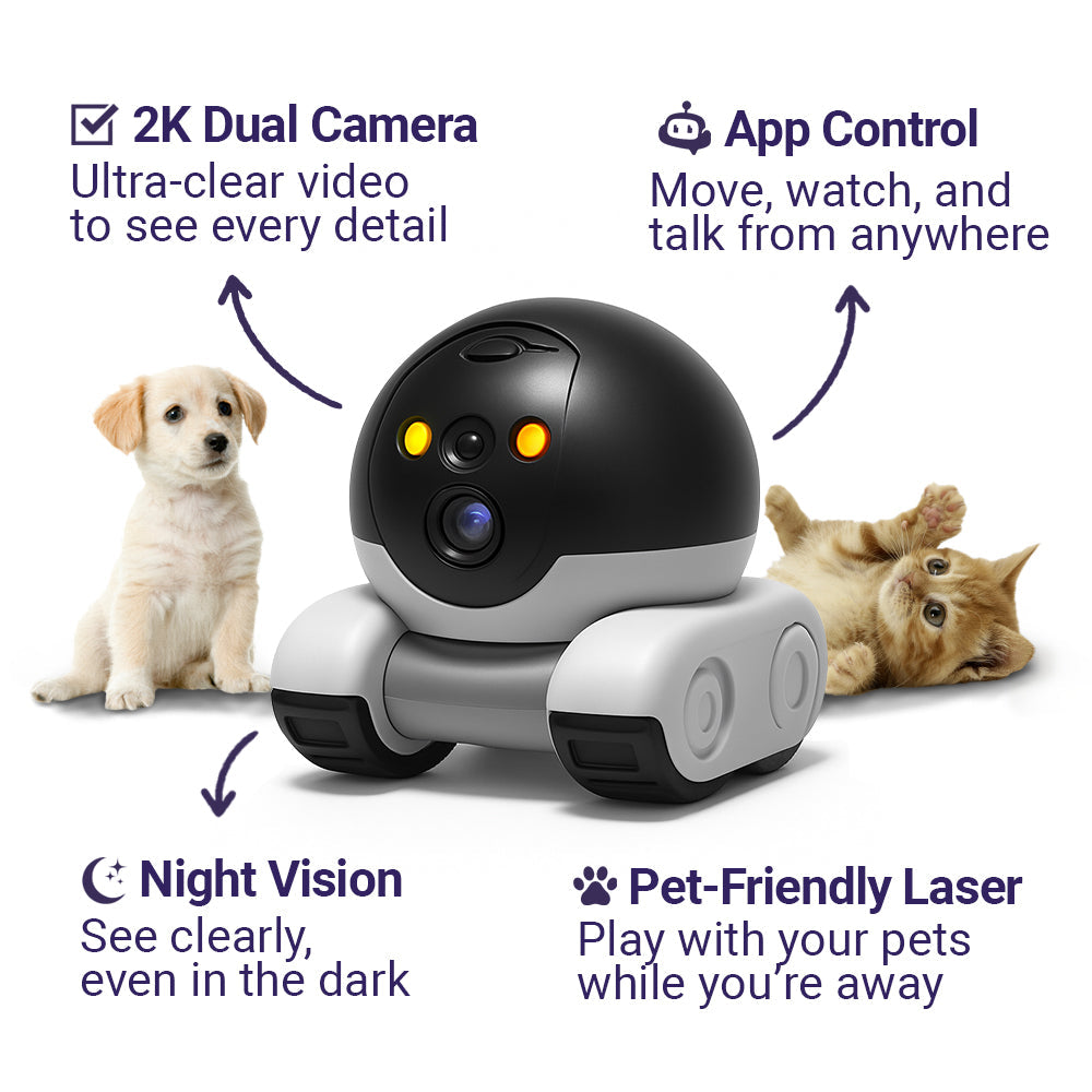 AI Companion Robot - NexaBot™ with Interactive Learning
