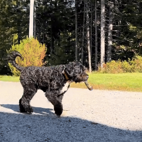 Plush Joint Toy for Relaxed Dogs - CozyPaws