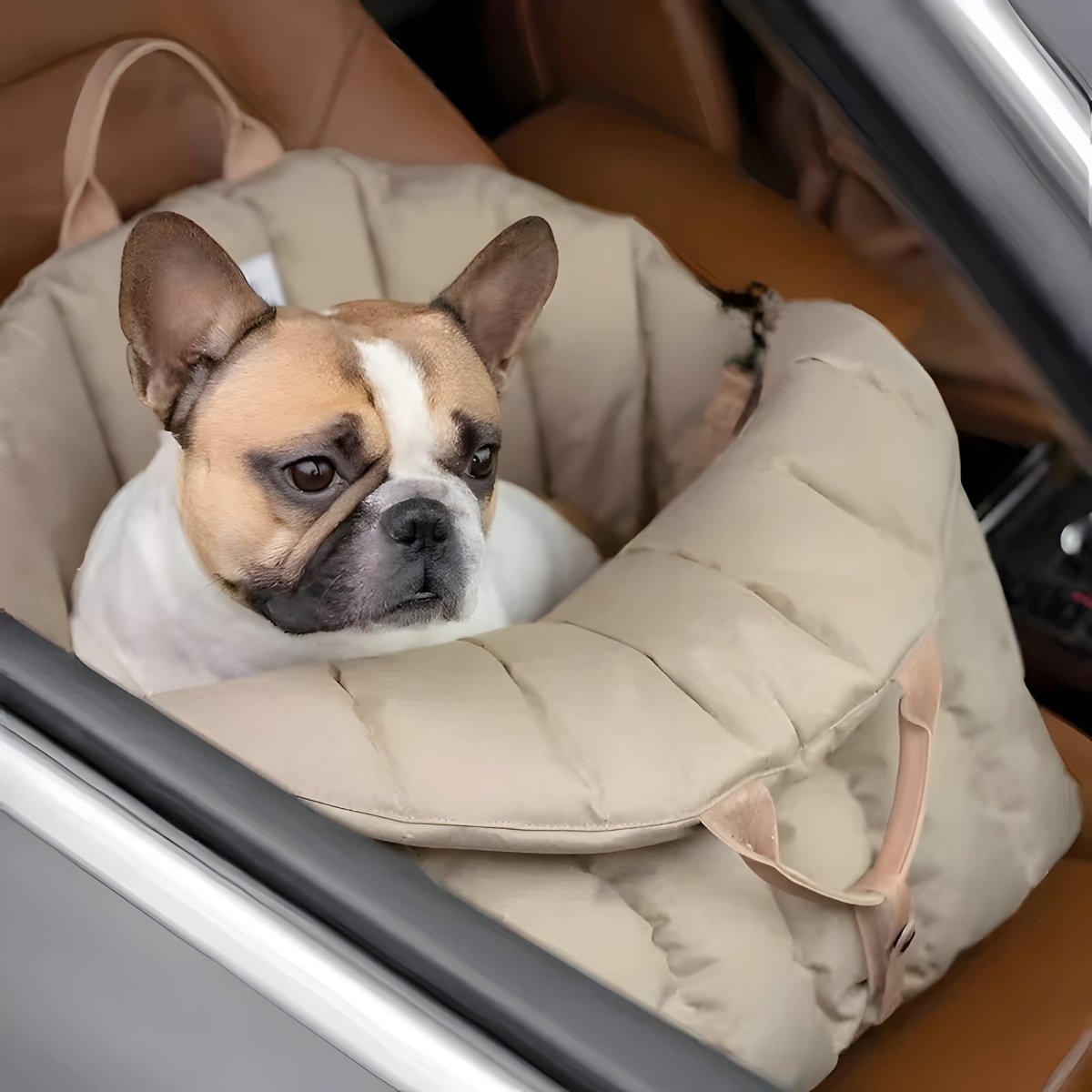 PetVoyage - Lightweight Dog Carrier with Cozy Lining