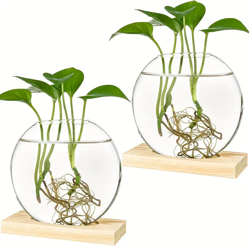 Propagation Vase - VerdantNest with Elegant Wooden Stand