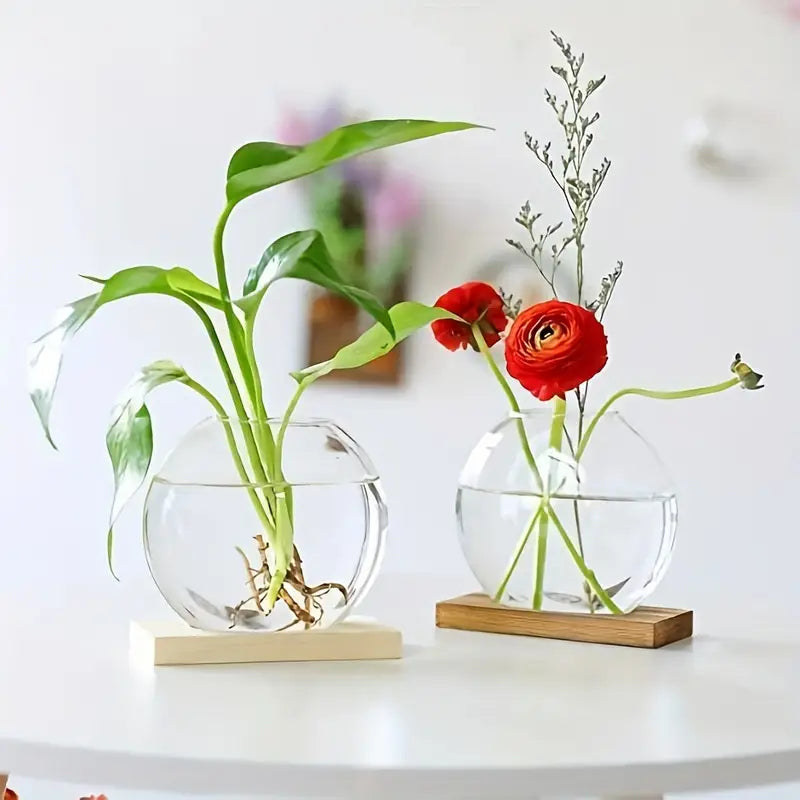 Propagation Vase - VerdantNest with Elegant Wooden Stand
