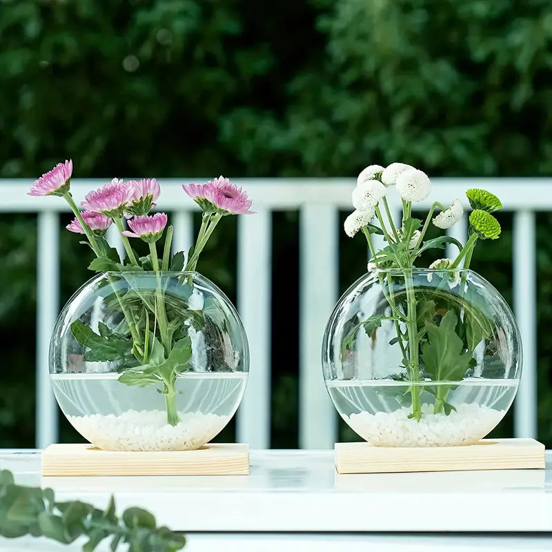 Propagation Vase - VerdantNest with Elegant Wooden Stand