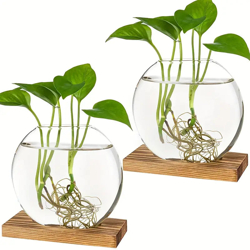 Propagation Vase - VerdantNest with Elegant Wooden Stand