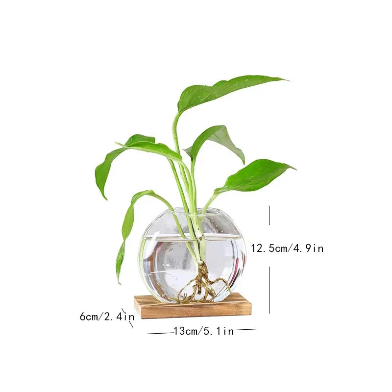 Propagation Vase - VerdantNest with Elegant Wooden Stand