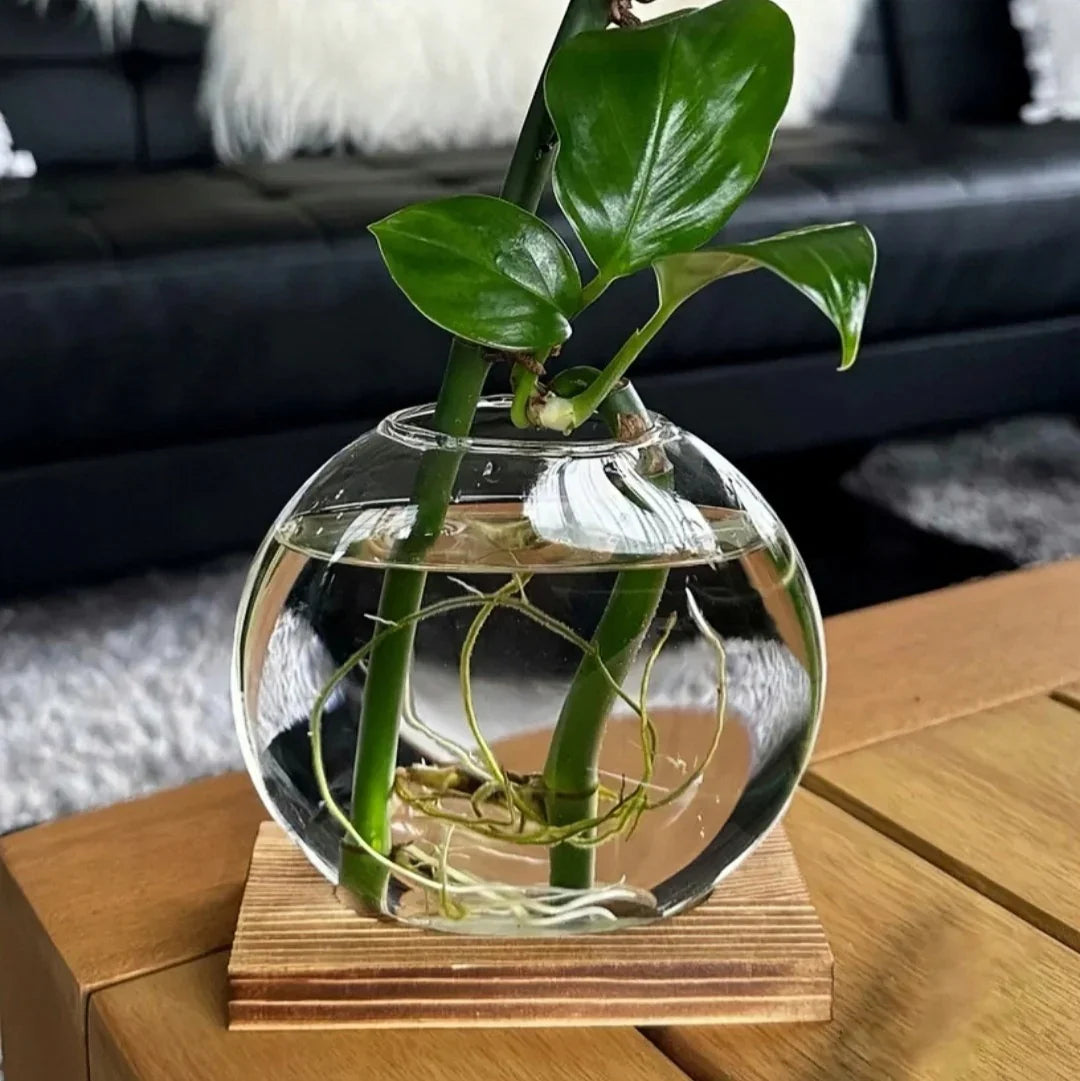 Propagation Vase - VerdantNest with Elegant Wooden Stand