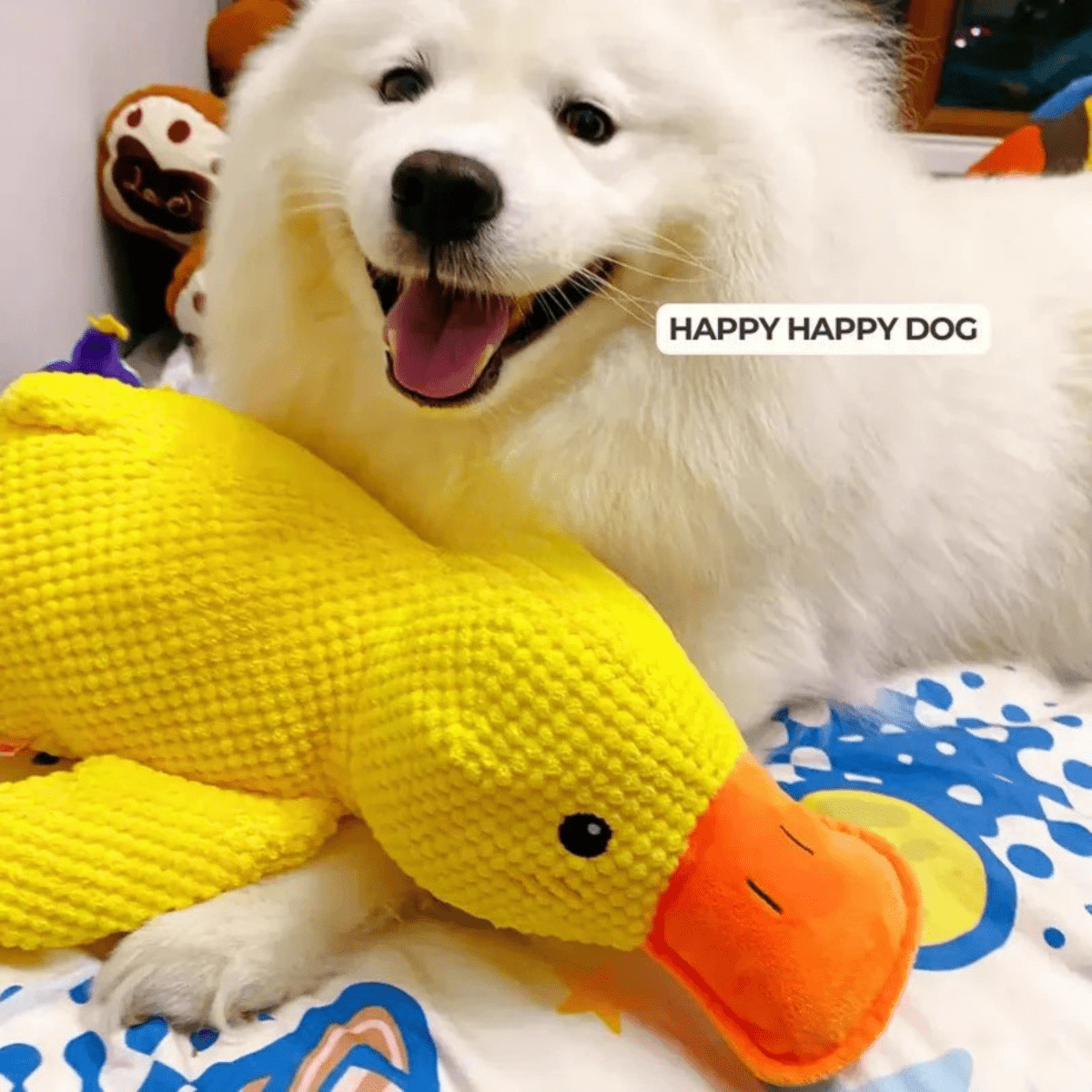 Squeaky Plush Dog Toy - CuddlePaws