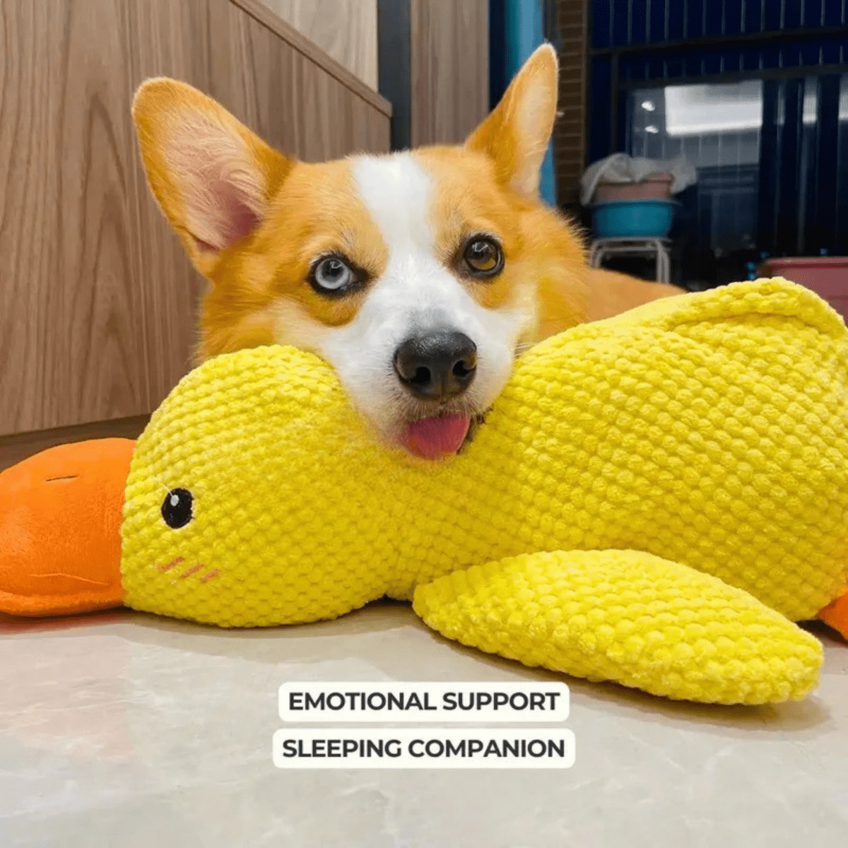 Squeaky Plush Dog Toy - CuddlePaws