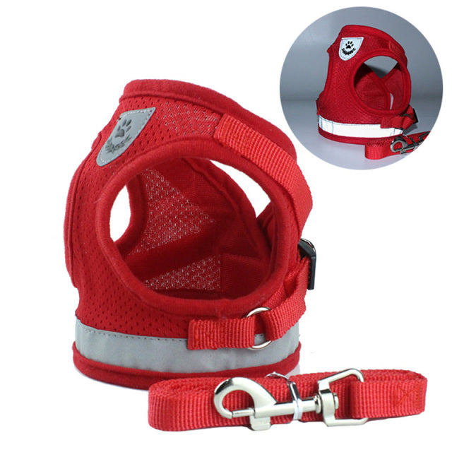 Reflective Cat Harness Vest - Purrfectly Safe
