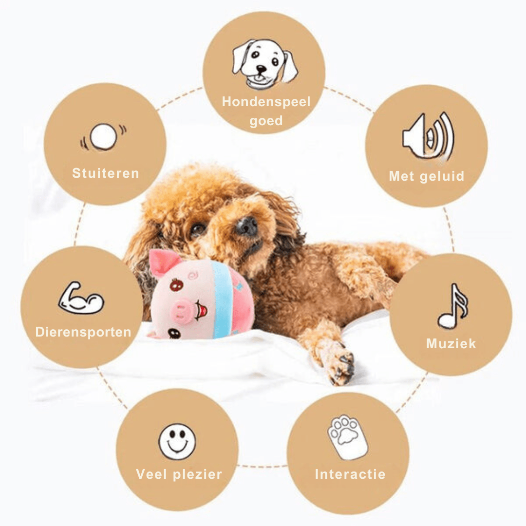 Active Dog Motion Ball - Pawsitive Play
