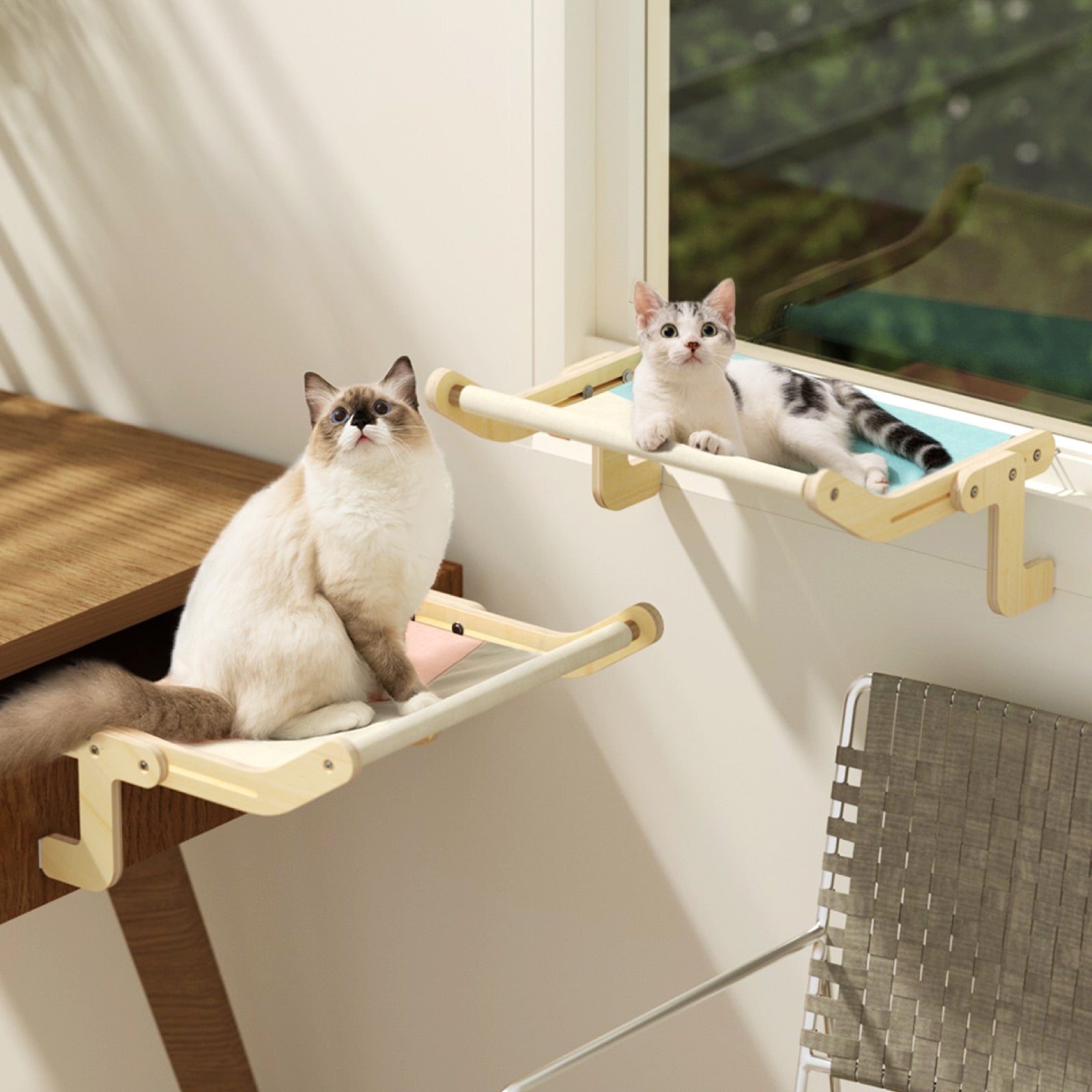 Hanging Cat Bed - CozyNest