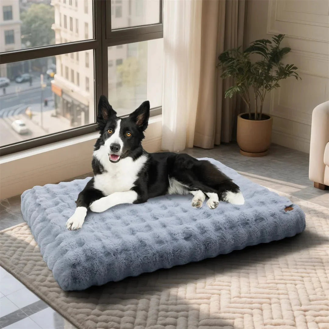 Calming Pet Bed for Dogs & Cats - CozyNest