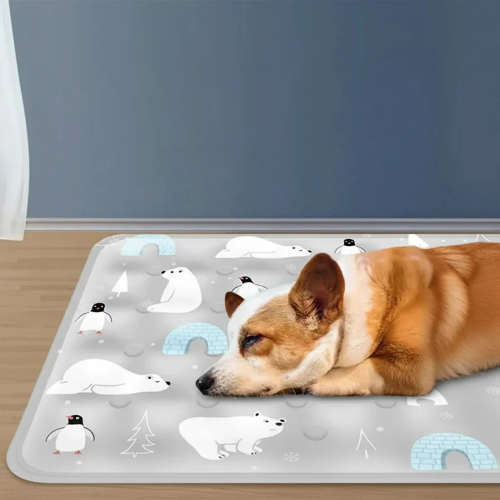 CoolPaws Gel Cooling Mat - PETCHILL for Dogs & Cats