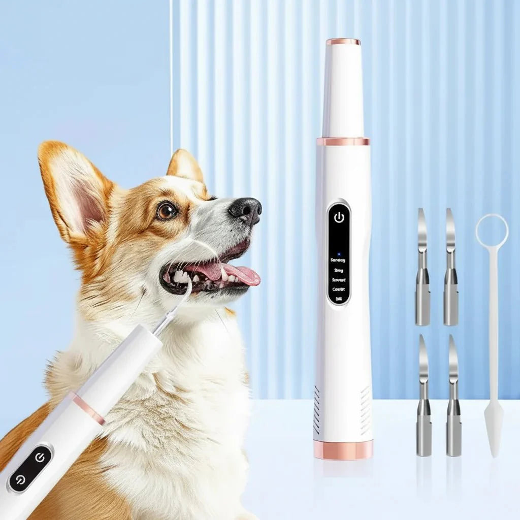Ultrasonic Dental Care Device - PureSmile