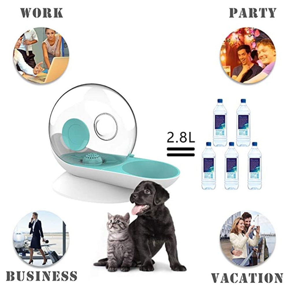 AquaFlow Pet Water Bowl - PurePaws
